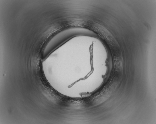 X0000112040548200908311238