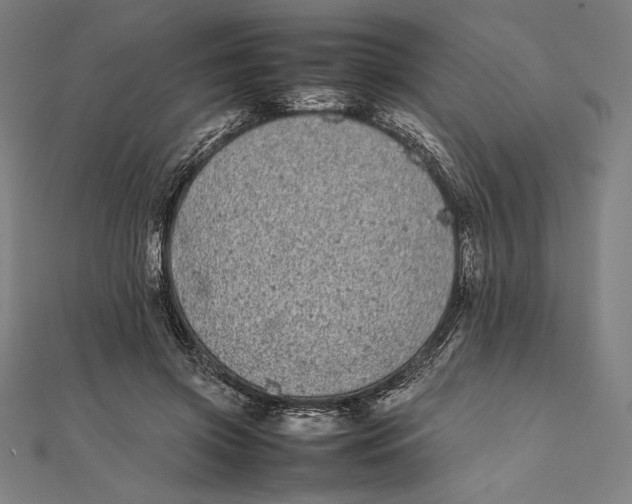 X0000112040549200908311238