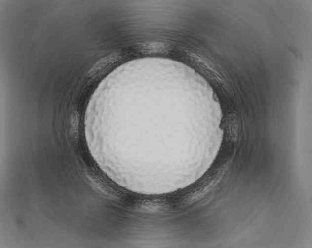 X0000112040550200908311238