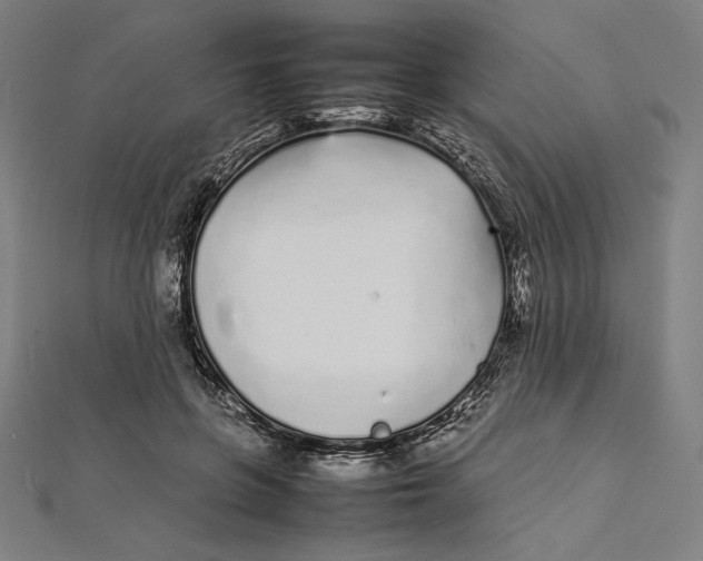 X0000112040551200908311238