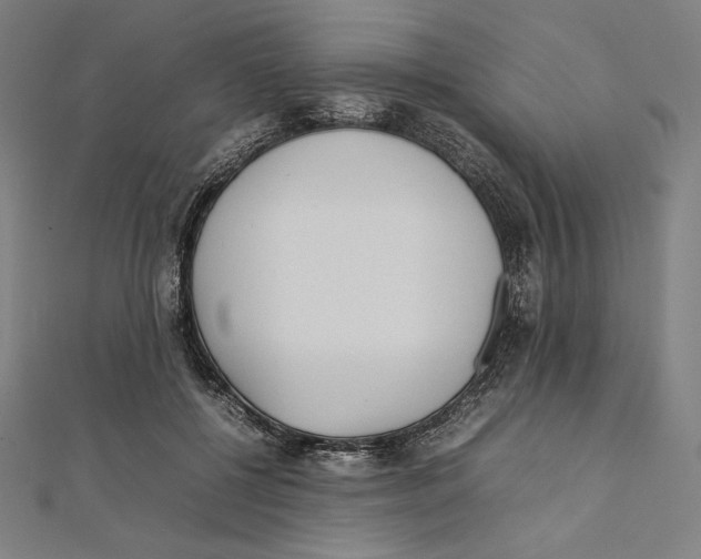 X0000112040552200908311238