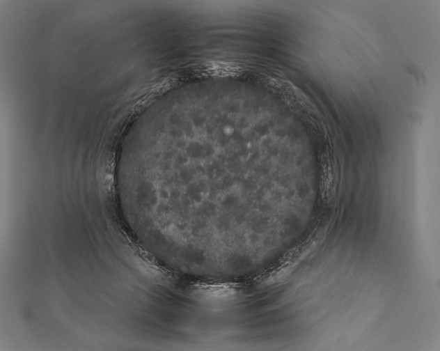 X0000112040553200908311238