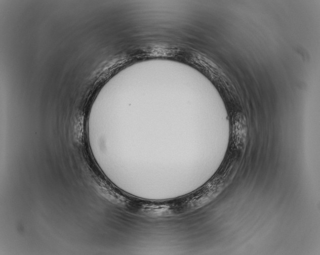 X0000112040554200908311238