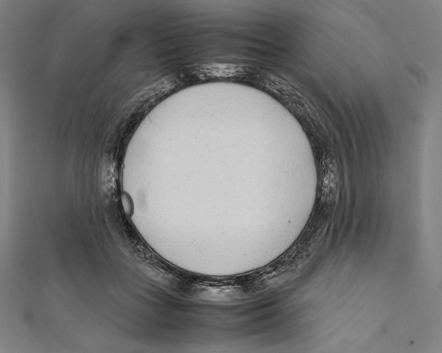 X0000112040555200908311238