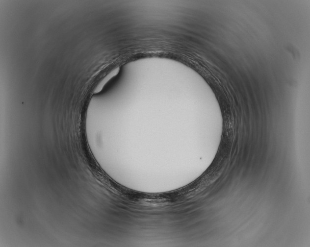 X0000112040556200908311238