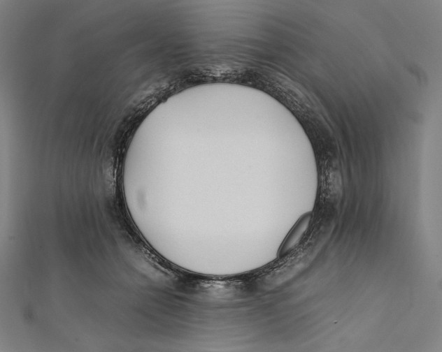 X0000112040558200908311238