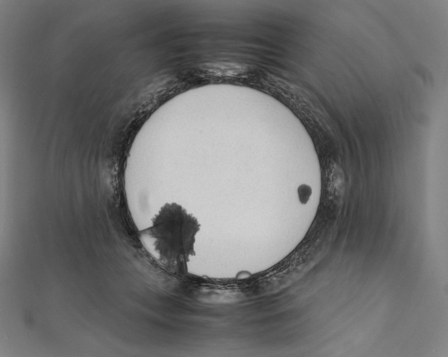X0000112040559200908311238