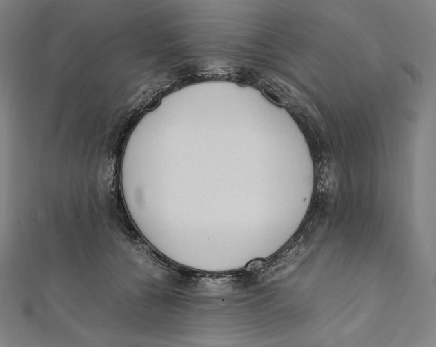 X0000112040560200908311238