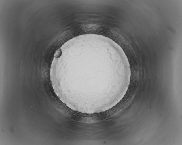 X0000112040561200908311238