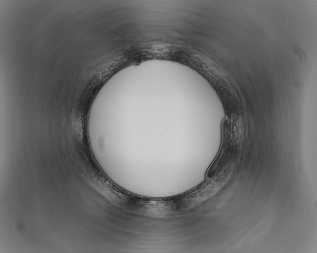 X0000112040562200908311238