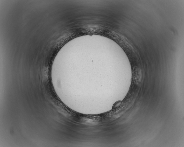X0000112040563200908311238