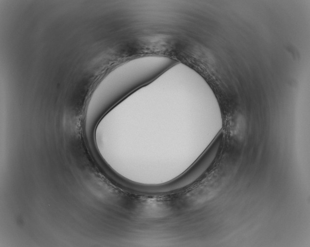 X0000112040564200908311238