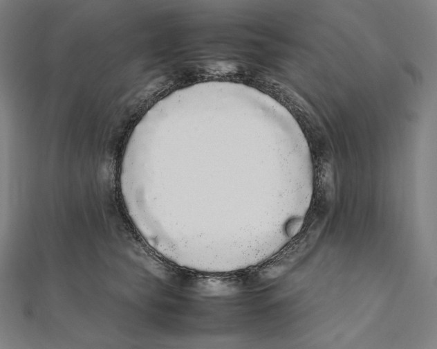 X0000112040565200908311238