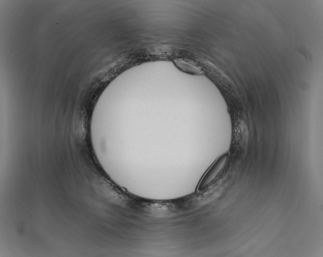 X0000112040566200908311238