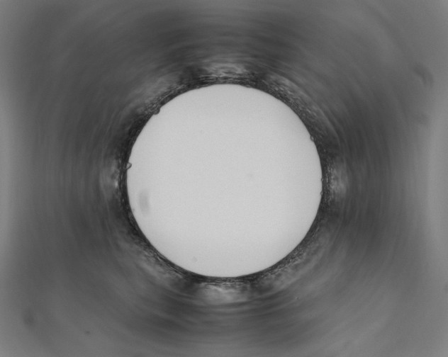 X0000112040567200908311238