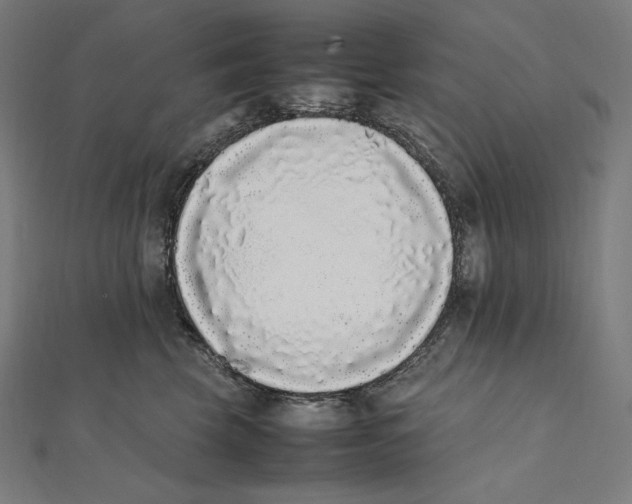 X0000112040569200908311238