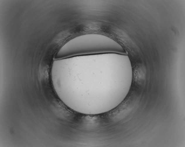 X0000112040570200908311238