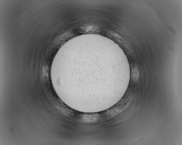 X0000112040571200908311238