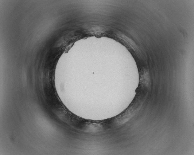 X0000112040572200908311238