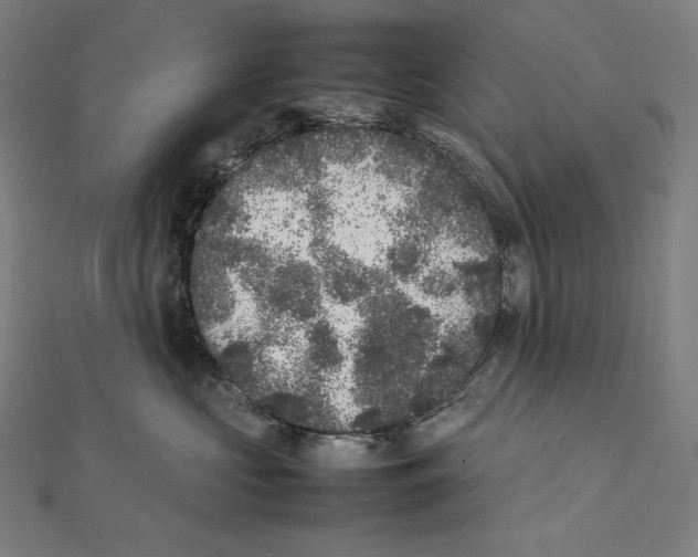 X0000112040573200908311238