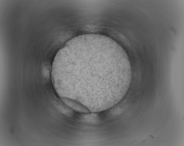 X0000112040576200908311238