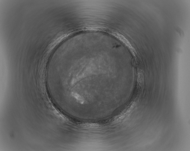 X0000112040577200908311238