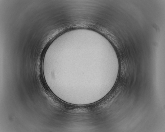 X0000112040578200908311238