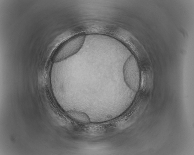 X0000112040579200908311238