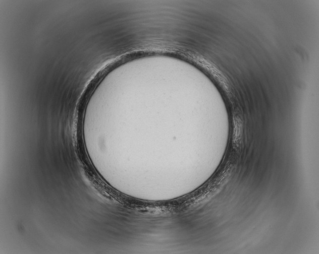 X0000112040580200908311238