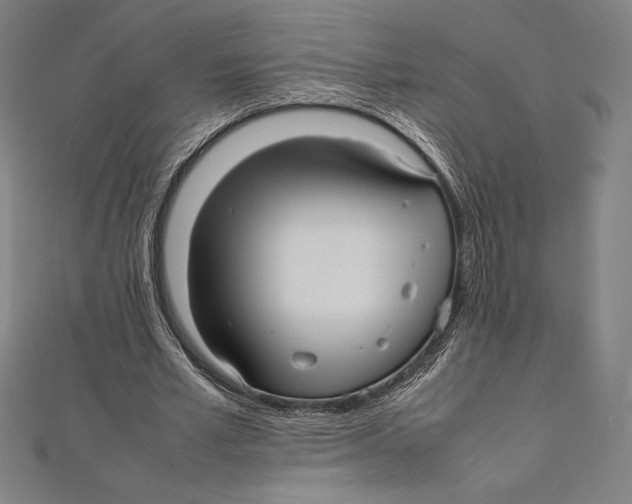 X0000112040581200908311238