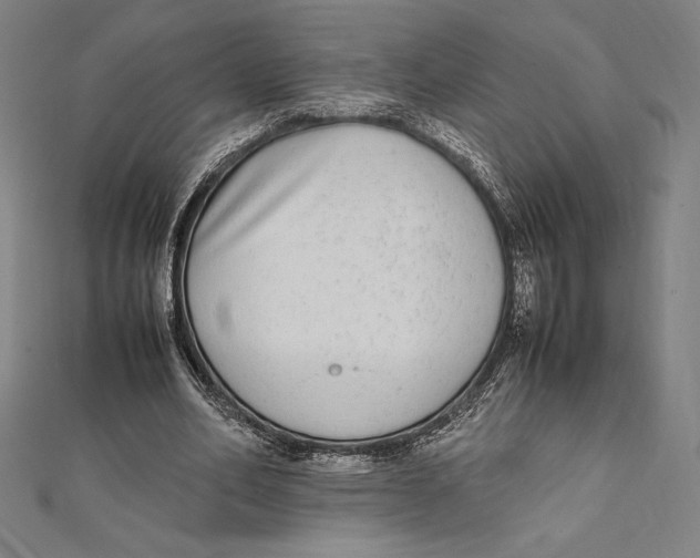 X0000112040582200908311238