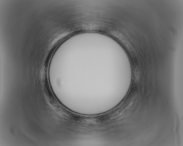 X0000112040583200908311238