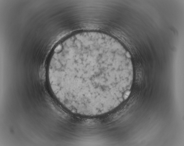 X0000112040584200908311238