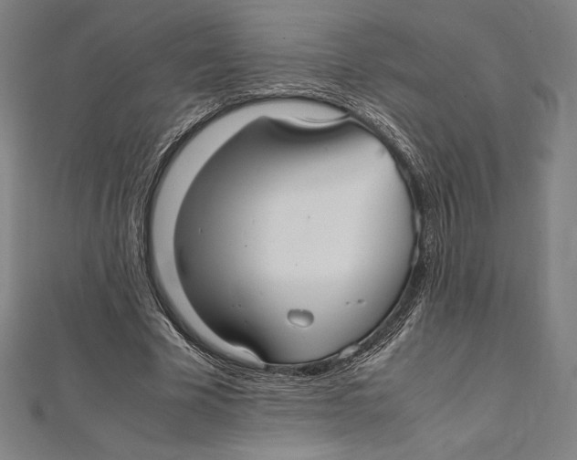 X0000112040585200908311238