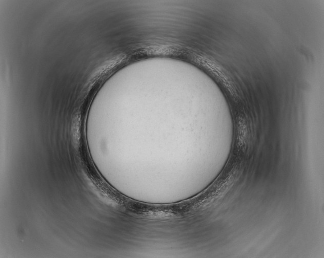X0000112040586200908311238