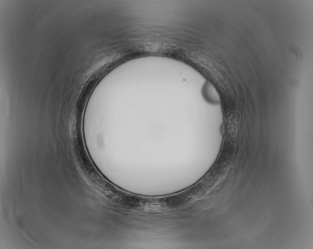 X0000112040587200908311238