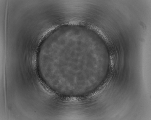 X0000112040588200908311238