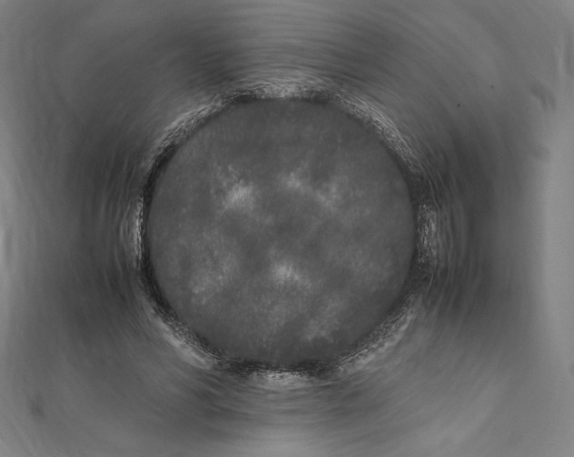 X0000112040590200908311238