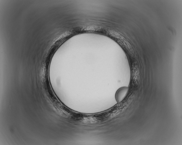 X0000112040591200908311238