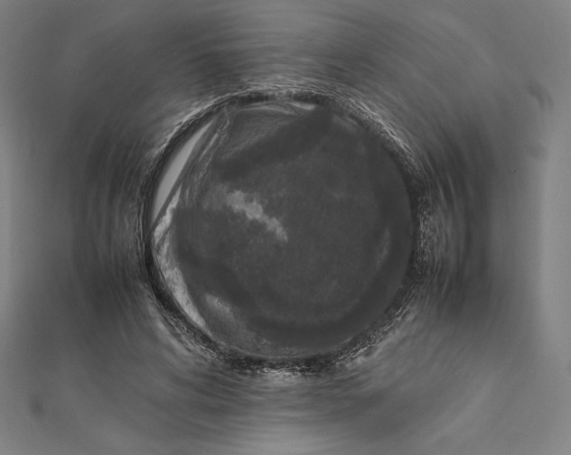 X0000112040592200908311238