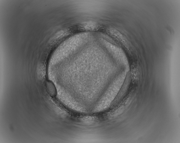 X0000112040593200908311237