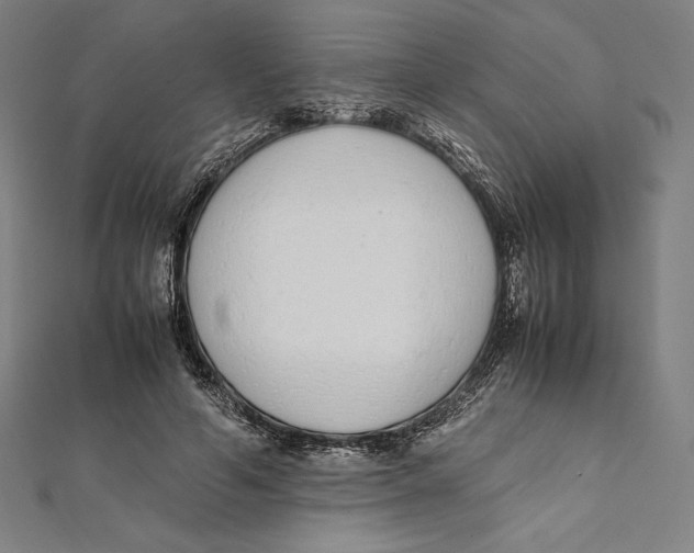 X0000112040594200908311237