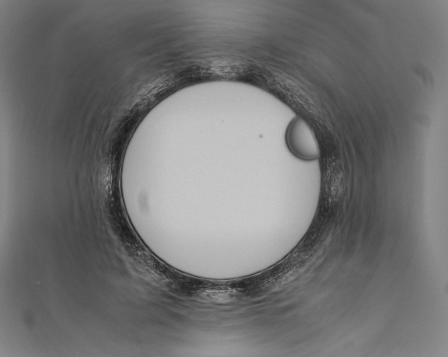 X0000112040595200908311237