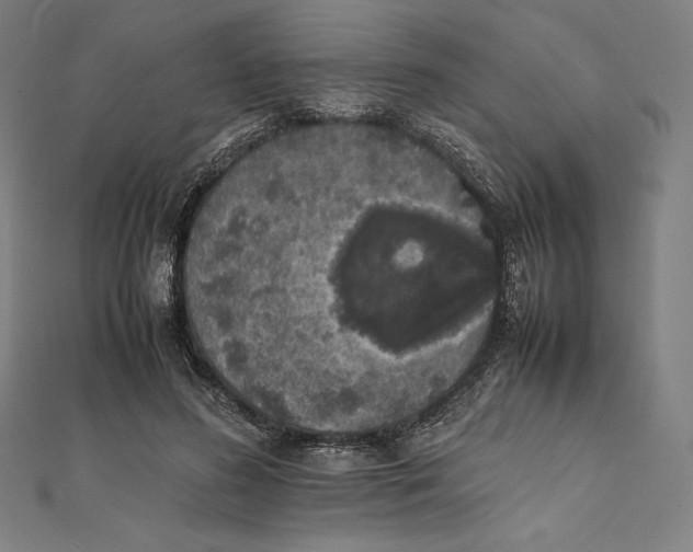 X0000112040596200908311237