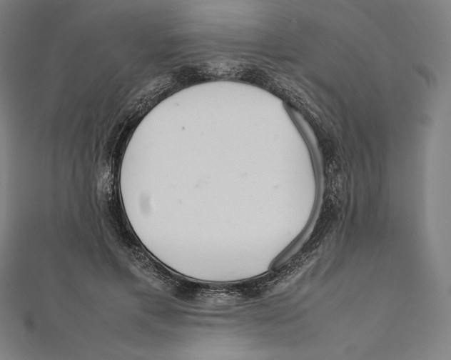 X0000112040597200908311237
