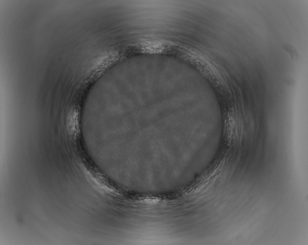 X0000112040598200908311237