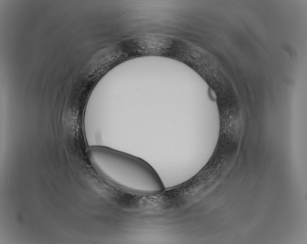 X0000112040599200908311237