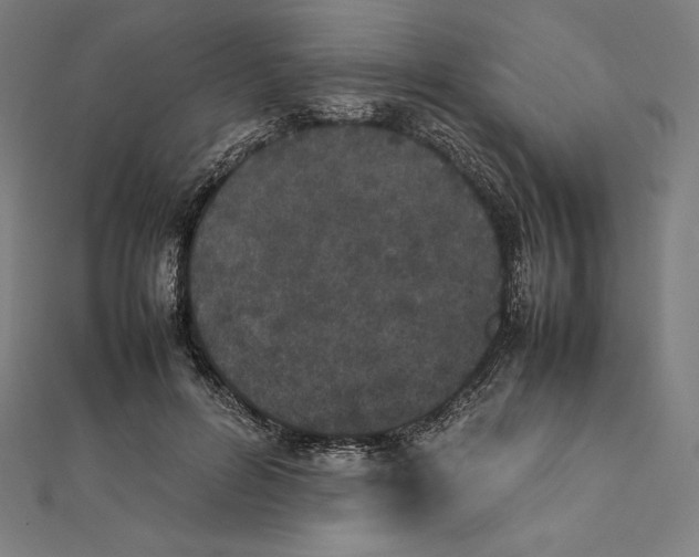 X0000112040600200908311237