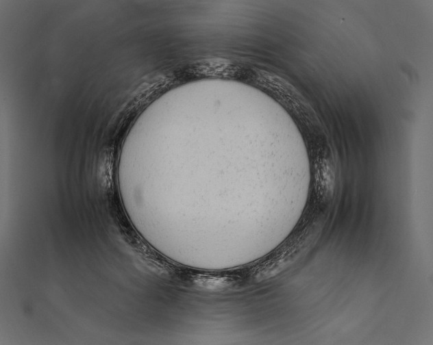 X0000112040602200908311237