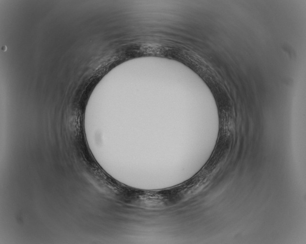 X0000112040603200908311237
